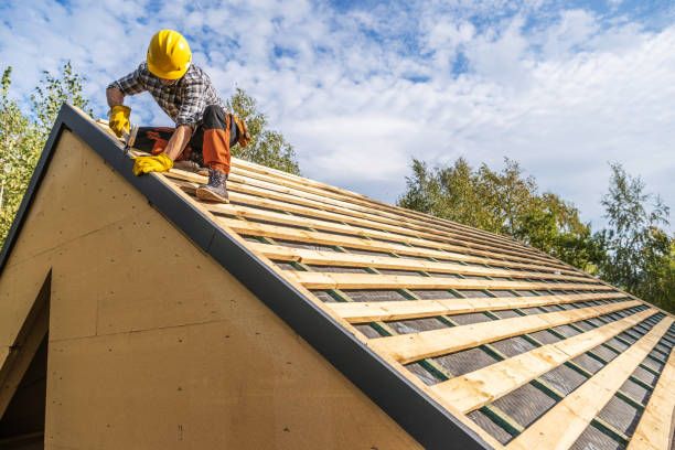 Best Storm Damage Roof Repair  in Pipestone, MN